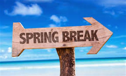 Spring Break: The Ultimate Experience