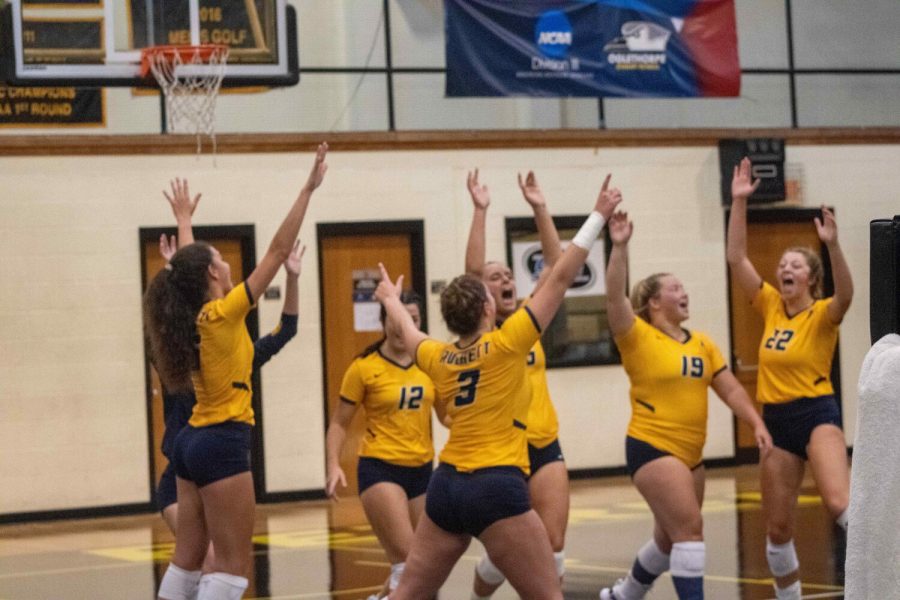 Volleyball team celebrating 