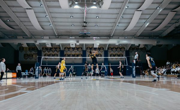 Averett Athletics Continues To Expand With Men’s Volleyball